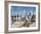 Bahia Fisherman on Beach with their Nets-Dmitri Kessel-Framed Photographic Print