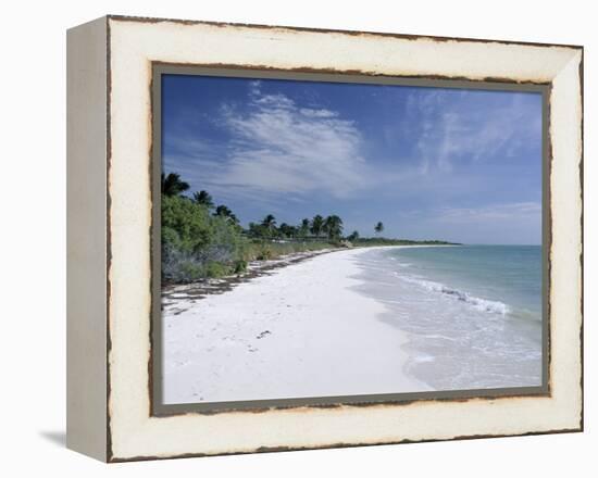 Bahia Honda Key, the Keys, Florida, United States of America (U.S.A.), North America-Fraser Hall-Framed Premier Image Canvas