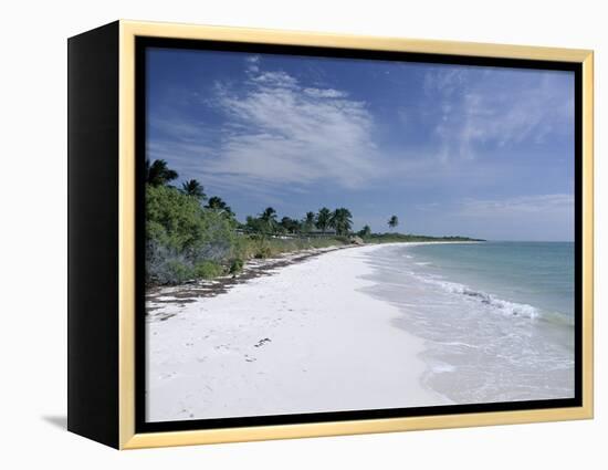 Bahia Honda Key, the Keys, Florida, United States of America (U.S.A.), North America-Fraser Hall-Framed Premier Image Canvas