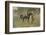 Bahram-Lionel Edwards-Framed Premium Giclee Print