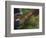 Bai Minority Winnowing Wheat, Jianchuan County, Yunnan Province, China-Pete Oxford-Framed Photographic Print