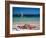 Baie de l'Embouchure, St. Martin, Caribbean-Greg Johnston-Framed Photographic Print