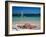 Baie de l'Embouchure, St. Martin, Caribbean-Greg Johnston-Framed Photographic Print