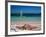 Baie de l'Embouchure, St. Martin, Caribbean-Greg Johnston-Framed Photographic Print