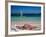 Baie de l'Embouchure, St. Martin, Caribbean-Greg Johnston-Framed Photographic Print