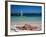 Baie de l'Embouchure, St. Martin, Caribbean-Greg Johnston-Framed Photographic Print