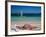 Baie de l'Embouchure, St. Martin, Caribbean-Greg Johnston-Framed Photographic Print