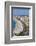 Baie Des Anges and Promenade Anglais-Amanda Hall-Framed Photographic Print