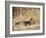 Bailed up-Tom Roberts-Framed Giclee Print