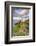 Baily lighthouse, Howth, County Dublin, Ireland, Europe.-Marco Bottigelli-Framed Photographic Print