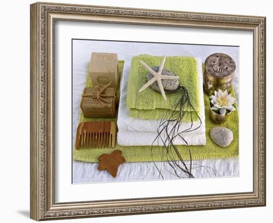 Bain Vert et Blanc-Catherine Beyler-Framed Art Print