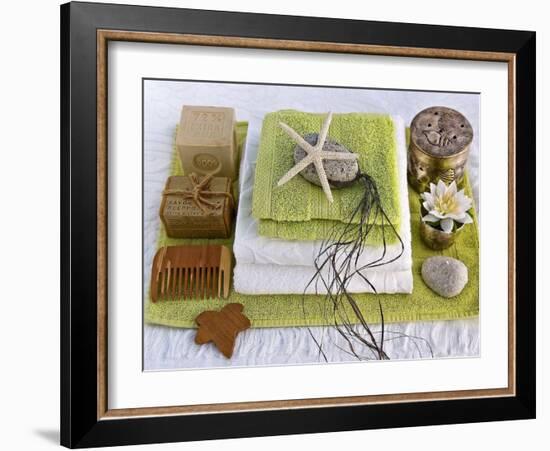 Bain Vert et Blanc-Catherine Beyler-Framed Art Print