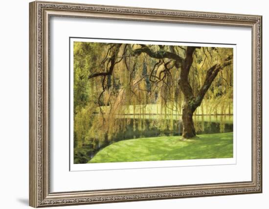 Bainbridge Island Willow-Donald Paulson-Framed Giclee Print