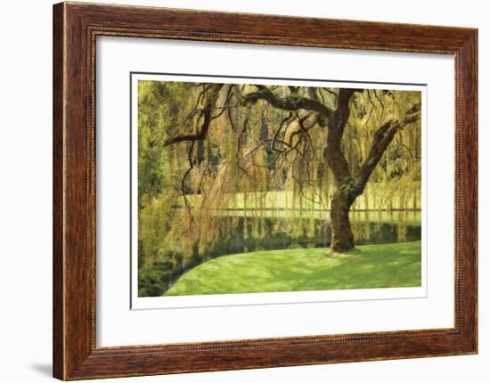 Bainbridge Island Willow-Donald Paulson-Framed Giclee Print