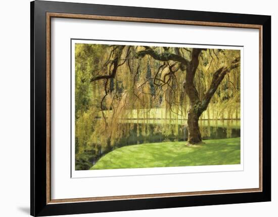 Bainbridge Island Willow-Donald Paulson-Framed Giclee Print