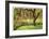 Bainbridge Island Willow-Donald Paulson-Framed Giclee Print