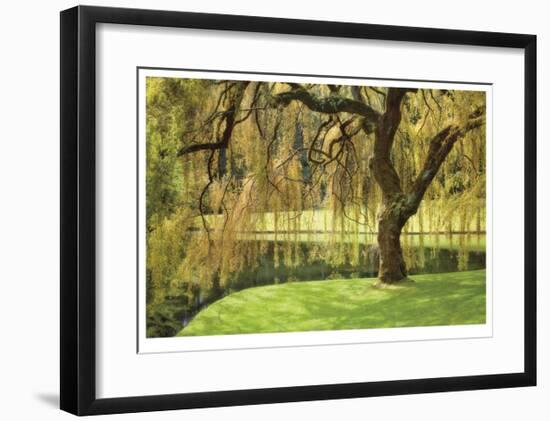 Bainbridge Island Willow-Donald Paulson-Framed Giclee Print