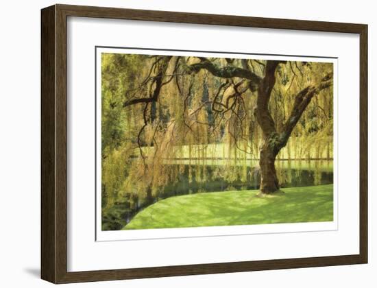 Bainbridge Island Willow-Donald Paulson-Framed Giclee Print