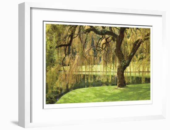 Bainbridge Island Willow-Donald Paulson-Framed Giclee Print