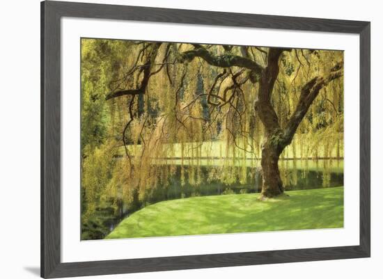 Bainbridge Island Willow-Donald Paulson-Framed Giclee Print