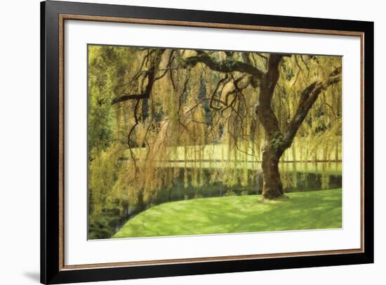 Bainbridge Island Willow-Donald Paulson-Framed Giclee Print