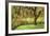 Bainbridge Island Willow-Donald Paulson-Framed Giclee Print