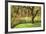 Bainbridge Island Willow-Donald Paulson-Framed Giclee Print