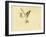 Bairei Gadan - Bird-Bairei Kono-Framed Giclee Print