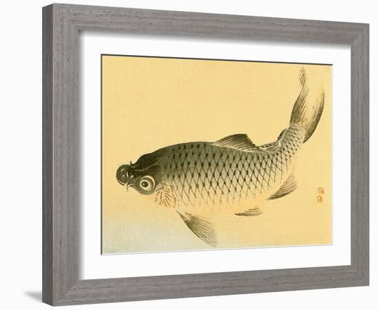 Bairei Gadan - Carp-Bairei Kono-Framed Giclee Print