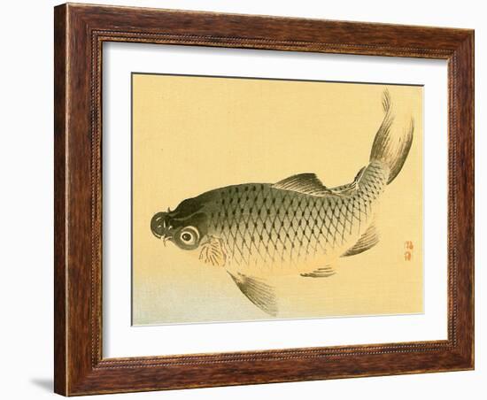 Bairei Gadan - Carp-Bairei Kono-Framed Giclee Print