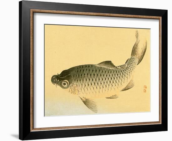 Bairei Gadan - Carp-Bairei Kono-Framed Giclee Print