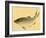 Bairei Gadan - Carp-Bairei Kono-Framed Giclee Print