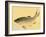 Bairei Gadan - Carp-Bairei Kono-Framed Giclee Print