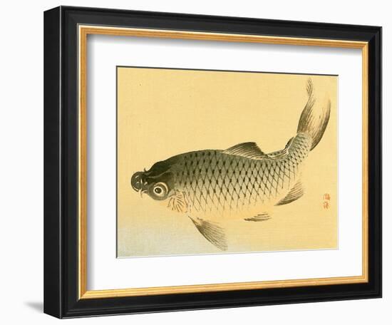 Bairei Gadan - Carp-Bairei Kono-Framed Giclee Print