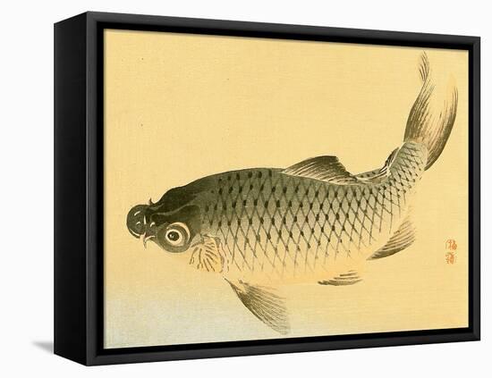 Bairei Gadan - Carp-Bairei Kono-Framed Premier Image Canvas