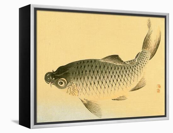 Bairei Gadan - Carp-Bairei Kono-Framed Premier Image Canvas