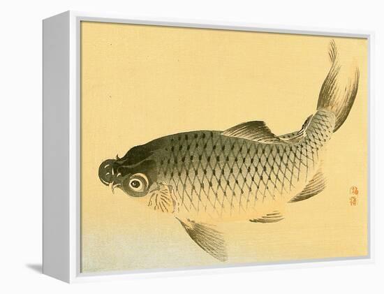 Bairei Gadan - Carp-Bairei Kono-Framed Premier Image Canvas