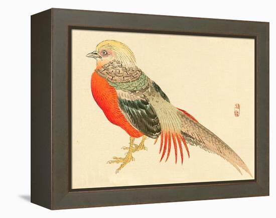 Bairei Gadan - Chinese Pheasant-Bairei Kono-Framed Premier Image Canvas