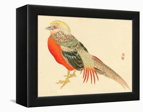 Bairei Gadan - Chinese Pheasant-Bairei Kono-Framed Premier Image Canvas