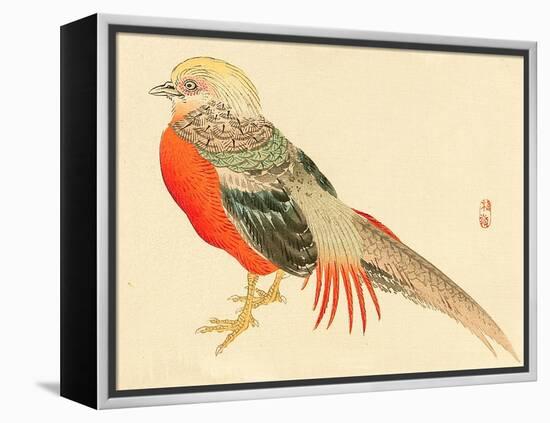 Bairei Gadan - Chinese Pheasant-Bairei Kono-Framed Premier Image Canvas