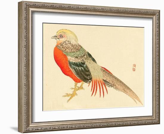 Bairei Gadan - Chinese Pheasant-Bairei Kono-Framed Giclee Print