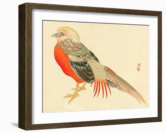 Bairei Gadan - Chinese Pheasant-Bairei Kono-Framed Giclee Print