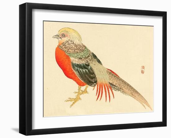 Bairei Gadan - Chinese Pheasant-Bairei Kono-Framed Giclee Print