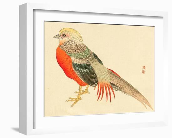 Bairei Gadan - Chinese Pheasant-Bairei Kono-Framed Giclee Print