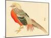 Bairei Gadan - Chinese Pheasant-Bairei Kono-Mounted Giclee Print