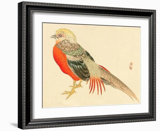 Bairei Gadan - Chinese Pheasant-Bairei Kono-Framed Giclee Print