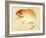 Bairei Gadan - Red Snapper-Bairei Kono-Framed Giclee Print