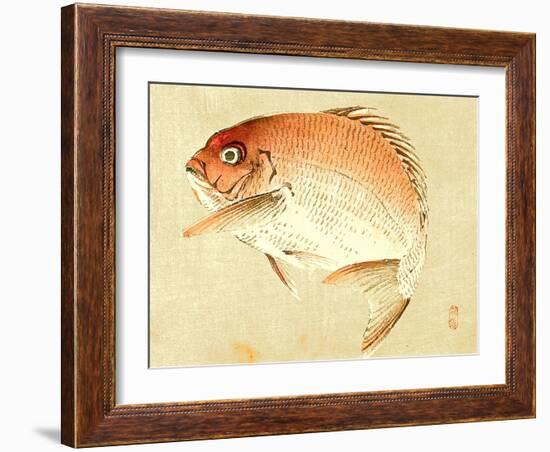 Bairei Gadan - Red Snapper-Bairei Kono-Framed Giclee Print