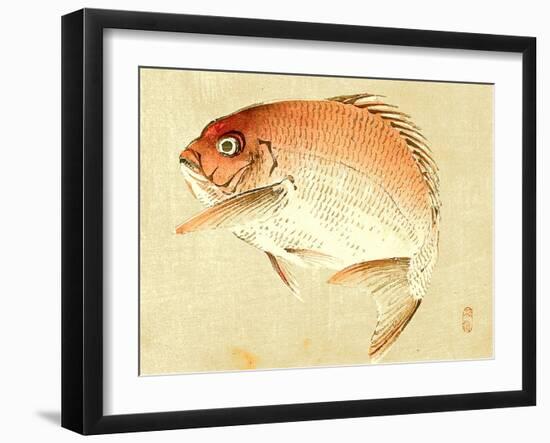 Bairei Gadan - Red Snapper-Bairei Kono-Framed Giclee Print