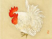 Bairei Gadan - Rooster-Bairei Kono-Framed Giclee Print